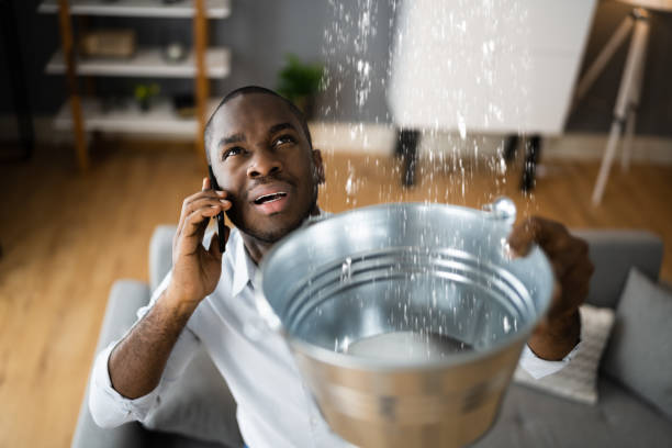 Best Water damage restoration specialists  in West Park, CA
