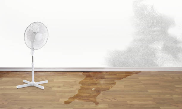 24/7 water damage repair in West Park, CA