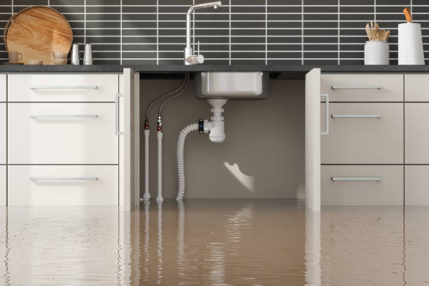 Best Carpet water damage restoration  in West Park, CA
